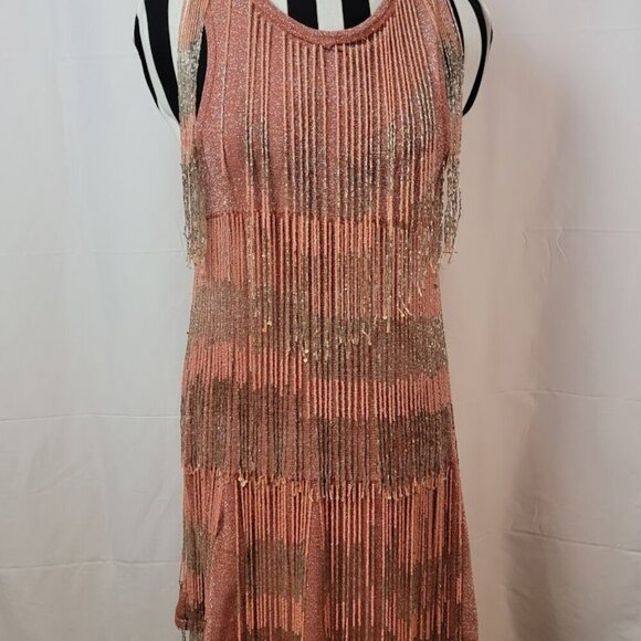 Adorable Zara Beaded Fringe Dress - 20's Flapper Style Updated for Today - M - Picture 3 of 12